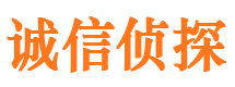 望都市侦探调查公司